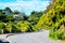 Steep s-turn of a mountain road in hilly suburbs of Wellington, New Zealand. Blooming shrubs and cozy villa houses deep