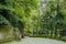 Steep and sinuous mountain road in woods