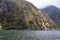 Steep slopes, covered with greenery on the banks of the fjord. South Island, New Zealand