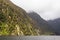 Steep slopes overgrown with greenery along the banks of the fjord. FiordLand National Park. New Zealand