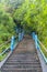 Steep staircase in a jungle