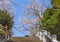 Steep stairs of success leading to the cherry blossoms of Atago shrine.