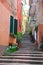 Steep Steps and Wine Jars, Italy