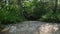 A steep stone staircase descends deep into the forest. The path in the park