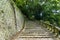 Steep stone stairs surrounded by green trees