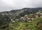 Steep terraced fields near Funchal in Madiera