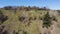 Steep valley slope overgrown with single trees, aerial view