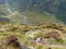 Steep view of Langstrath Beck, Lake District