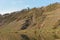 Steep vineyard slopes in Punderich