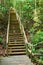 Steep Wooden Staircase Challenge