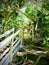 A steep wooden staircase helps visitors to descend safely to Cathedral Cove Beach. Vertical photo image.