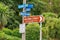 Steepest street in the world, Dunedin, New Zealand