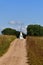 Steeple of an old white country church