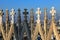 Steeples.Duomo Cathedral, Milan.