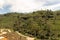 Steeply terraced slopes with agricultural crops