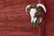 Steer Head Horns On Red Barn Wall Horizontal