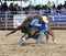 Steer Wrestling