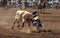 Steer Wrestling