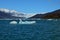 Steffen glacier in Campo de Hielo Sur Southern Patagonian Ice Field, Chilean Patagonia