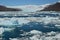 Steffen glacier in Campo de Hielo Sur Southern Patagonian Ice Field, Chilean Patagonia