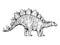 Stegosaurus dinosaur engraving vector