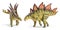 Stegosaurus, genus of armored dinosaur with clipping path.