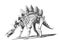 Stegosaurus Skeleton Drawing