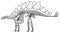 Stegosaurus skeleton, illustration, drawing, engraving, ink, line art, vector