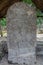 Stela at the ruins of the Mayan city Coba, Mexi