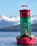 Stellar Sea Lions on buoy with snow capped mountains