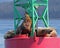 Stellar Sea Lions resting on buoy