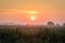 Stellar Sunrise over farm fields in the Black Dirt section of Pine Island, NY