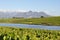 Stellenbosch winelands south africa