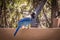 Steller`s Jay Perched on Wood Fence