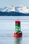 Steller sea lions resting on a navigational buoy in Alaska