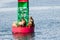 Steller sea lions resting on a navigational buoy in Alaska