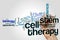 Stem cell therapy word cloud