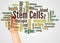 Stem cells word cloud and hand with marker concept