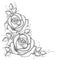 Stem with dotted rose flower and leaves on white background. Floral elements in dotwork style