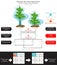 Stem Height Genetic Trait Pea Plant Mendel Experiment Infographic Diagram