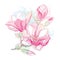 Stem with ornate magnolia flower and buds in pink on white background with blots in pastel color.