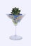 Stemmed glass with cactus
