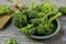 Stems of broccolini on a table