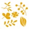 Stencil drawing of flowers and plants. Vector botanical elements. Golden meadow flowers handmade