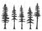 Stencil forest pine trees woodland