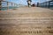 Stencilled letters on a wooden jetty in Florida