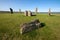 Stenness Standing Stones, Orkney, Scotland