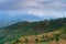 Step agriculture, or terrace agriculture, Garhwal, Uttarakhand, India