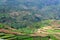 Step cultivation in Poombarai