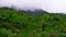 Step Farming in Himalayan Mountains in Uttarakhand, India